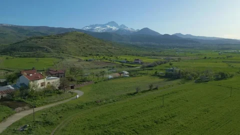 Herd of sheep grazing in the meadow, blooming trees and mountain landscape Stock Footage 273575546