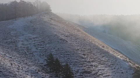 A herd of wild deer on the mountain. Stock Footage 266714087