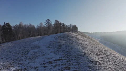 A herd of wild deer on the top of the mountain. Stock Footage 266715680