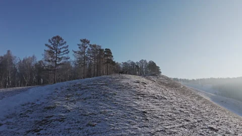 A herd of wild deer on the top of the mountain. Vídeo Stock 266728591