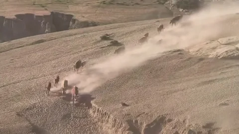 Herd of Yaks Migrating Across Dry, Dusty Plains in Xinjiang, China Vidéo 337857859