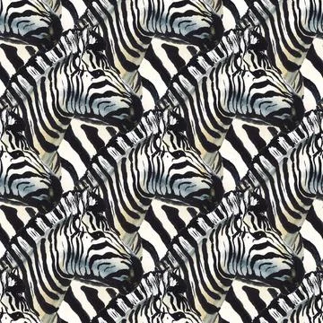 Herd of zebras Stock Illustration