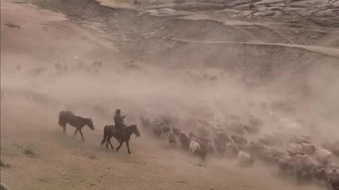 Herder on Horseback Guides Sheep Migration Through Dusty Xinjiang, China Stockbeeldmateriaal 337857101
