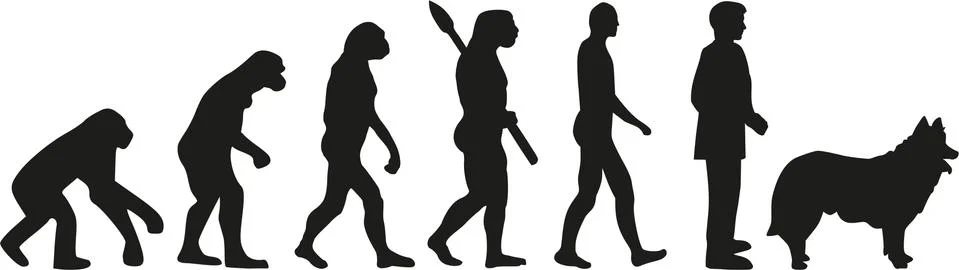 Herding evolution Stock Illustration