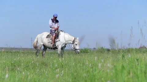 Herdsman on a horse looking at camera Stock Footage 77273515