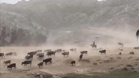 Herdsmen on Horseback Guide Cattle Migration in Dusty Xinjiang, China Видео 337857166