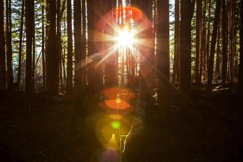 Here comes the sun Stock Photos