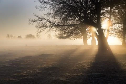 Here comes the sun Foto stock