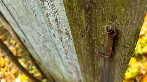 Here is a detailed closeup of a rusty hook situated on a wooden fence Stock Photos