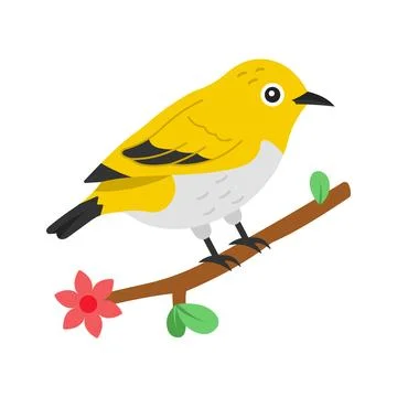 Here is a flat vector showing a tiny white eye bird. Stock Illustration