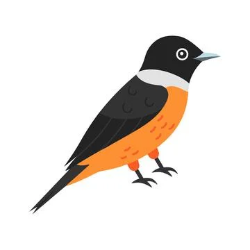 Here is a flat vector showing the wild stonechat bird concept. Stock Illustration