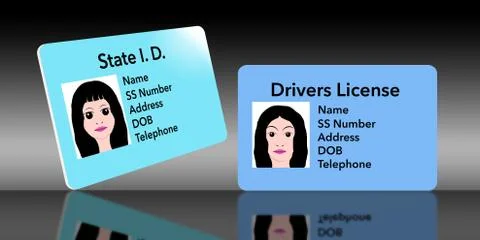 Here is an illustration of a state identification card that is used for young Stock Illustration