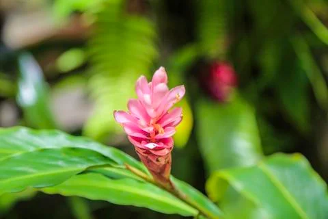 Here is summer Stock Photos