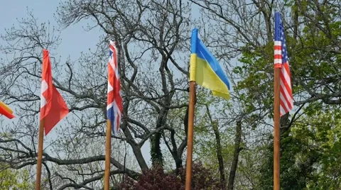 Here we can see flag Switzerland will, England, Ukraine, USA and others. Stock Footage 64478033