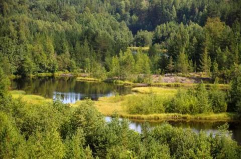 ----> here is where the title should be Stock Photos