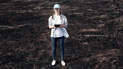 Here will be a new forest Stock Footage 101326252