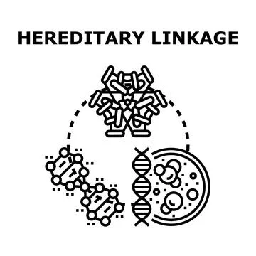 Hereditary linkage concept vector illustration biology human genetics Stock Illustration