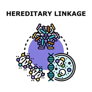 Hereditary linkage concept vector illustration biology human genetics Stock Illustration