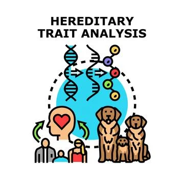 Hereditary trait analysis examining genetic characteristic transmission Stock Illustration
