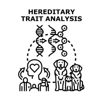 Hereditary trait analysis examining genetic characteristic transmission Stock Illustration