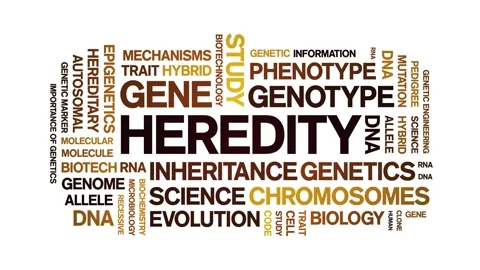 Heredity animated word cloud,animation tag kinetic typography seamless loop. Stock-Footage 326408224