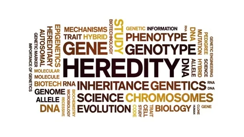 Heredity animated word cloud,animation tag kinetic typography seamless loop. Stock Footage 326408339