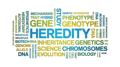 Heredity animated word cloud,animation tag kinetic typography seamless loop. Stock Footage 326408396