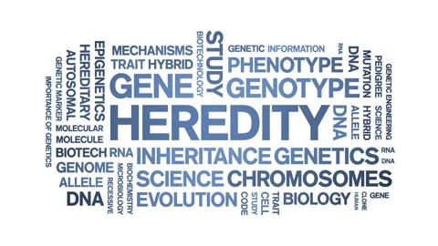 Heredity animated word cloud,animation tag kinetic typography seamless loop. 스톡 동영상 326408576