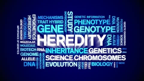 Heredity animated word cloud,animation tag kinetic typography seamless loop. Stock Footage 326411429