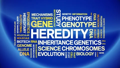 Heredity animated word cloud,animation tag kinetic typography seamless loop. Stock Footage 327046474