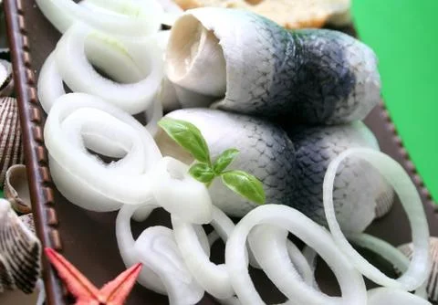 Heringe Stock Photos