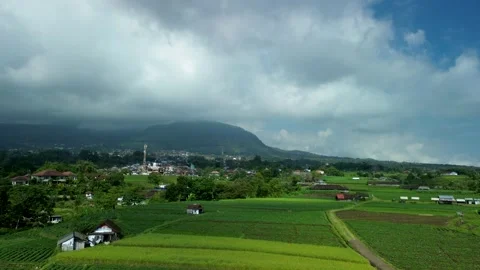 Heritage Rice Fields of Trawas Mojokerto June 23 2026 Stock Footage 337651040
