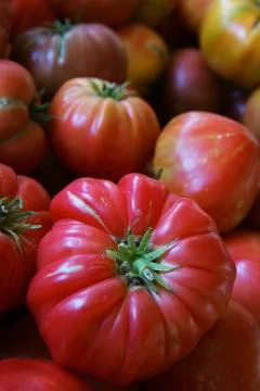 Heritage tomato Stock Photos