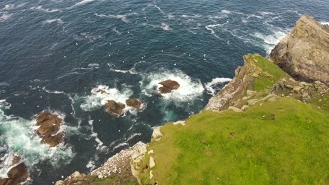 Hermaness Cliffs Aerial Stock Footage 150239645