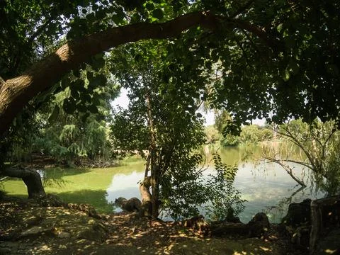 Hermann Eckstein Park Stock Photos