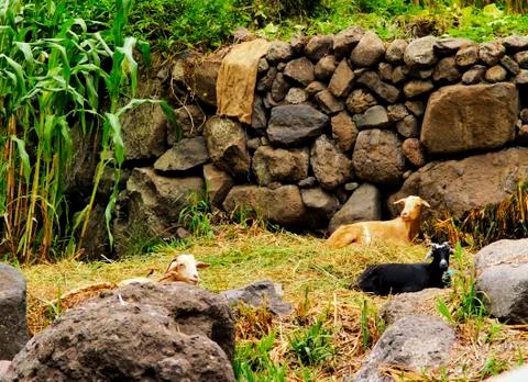 Hermigua on gomera Stock Photos