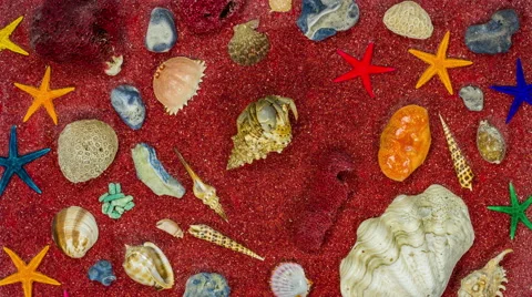 Hermit Crab crawling on red sand background surrounded by seashells and corals. Stock Footage 61641517