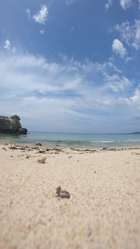 Hermit crab Stock Footage 302097888