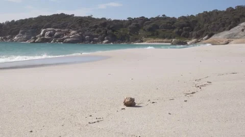 Hermit Crab In Shell On White Sand Beach With Waves Splashing And Seagull Stock Footage 333663604