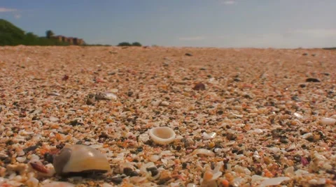 Hermit Crab Wake Up-Epic Stock Footage 1005787