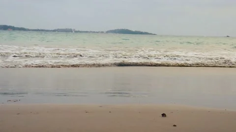 Hermit crab walking on the beach Stockbeeldmateriaal 238759897