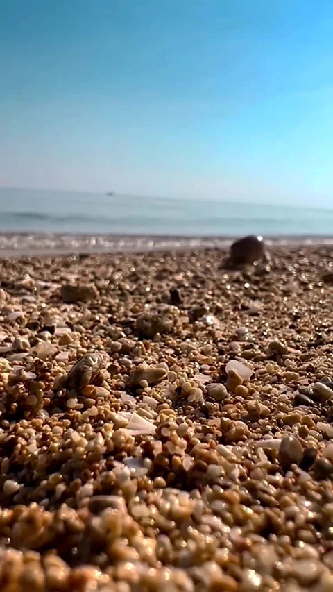 Hermit crab walking on the beach Stock Footage 271108931