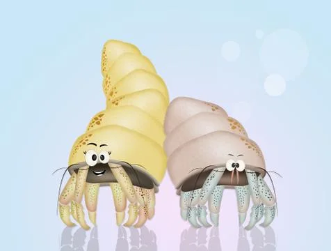 Hermit crabs Stock Illustration
