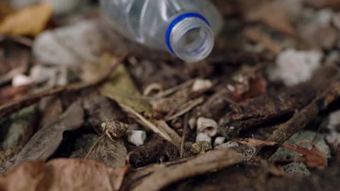 Hermit crabs scavenge inside plastic bottle amongst littered foliage,pollution Video stock 264480060