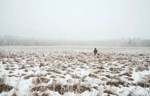 Hermit in the forest. Foto stock