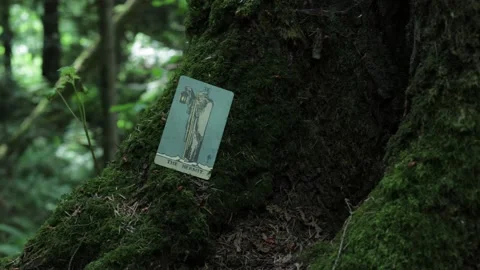 The Hermit Tarot Card Stock Footage 200789115