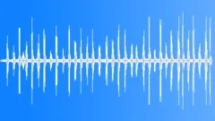 Hermit Thrush MD Song Sound Effect