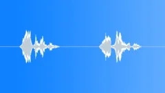 Hermit Thrush Sound Effect