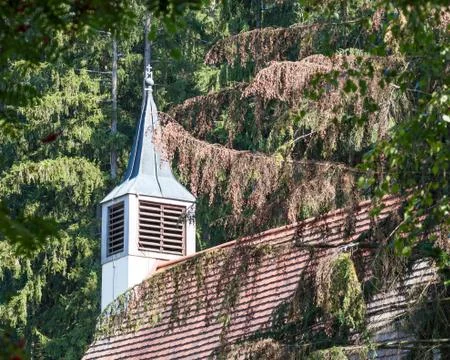 Hermitage Foto stock