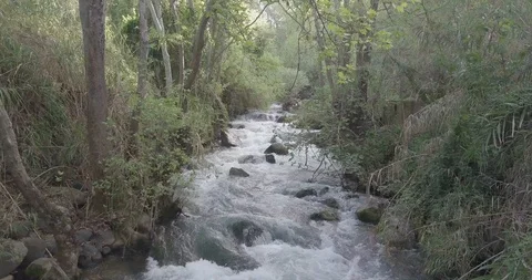 Hermon stream in Golan Heights Stock Footage 94746668